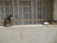 198_Victoria_Rabat