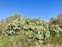 leider noch etwas zu zeitig