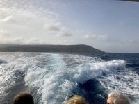 wir sind schnell unterwegs