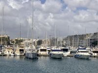 eine darf ausgesucht werden