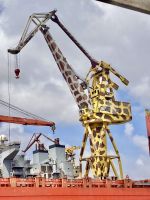 Camel der anderen Art