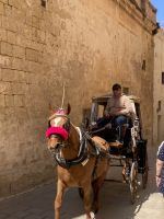 Taxi der anderen Art