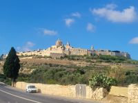 Blick auf Mdina/Malta