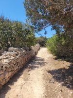 Wanderung auf Comino/Maltesisches Archipel &ndash; &copy; Susanne Hofen (Eberhardt TRAVEL)