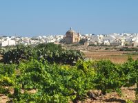 Weinanbau und Blick auf Our Lady of Lourdes Chapel/Mgarr/Malta &ndash; &copy; Susanne Hofen (Eberhardt TRAVEL)