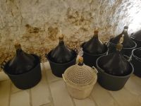 Weinkeller/Farmhaus/Malta &ndash; &copy; Susanne Hofen (Eberhardt TRAVEL)