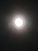 Vollmond/Malta  &ndash; &copy; Susanne Hofen (Eberhardt TRAVEL)