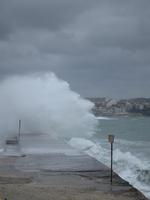 Stürmische Begrüßung