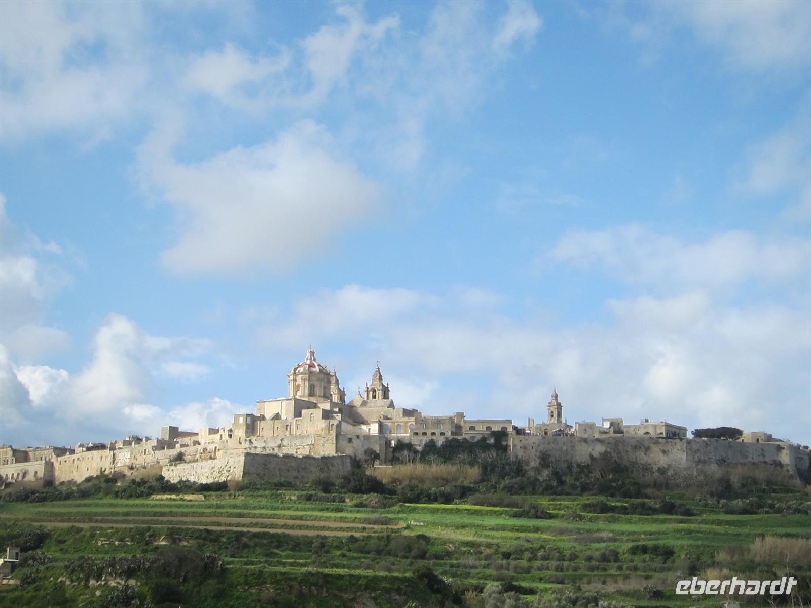 Blick auf Mdina