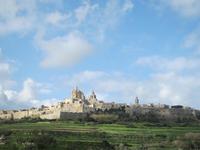 Blick auf Mdina