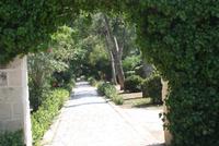 San Anton Garden