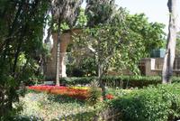 San Anton Garden
