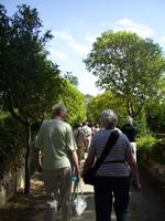 durch den Buskett Garden