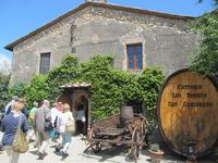 Toskana - Weingut Fattoria San Donato