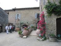 Toskana - Weingut Fattoria San Donato