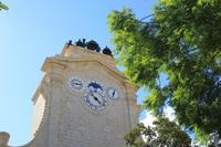 Upper Baracca Gardens