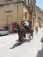 Kutschfahrt in Mdina