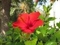 Stadtrundgang Valletta