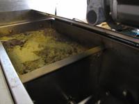 Besichtigung - Olivenfarm