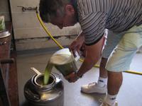 Besichtigung - Olivenfarm