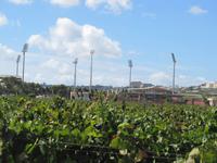 Panoramafahrt in den Norden Maltas - Weingut 