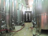 Panoramafahrt in den Norden Maltas - Weingut 