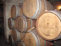 Panoramafahrt in den Norden Maltas - Weingut 