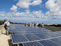 Panoramafahrt in den Norden Maltas - Weingut 