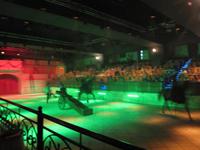 Mittelalterspektakel