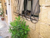 Ganztagsausflug - Die drei alten Städte