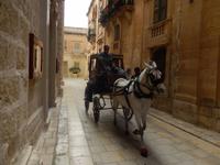 Autos gibt es in Mdina kaum, dafür aber einige Pferdekutschen.