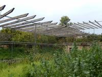 Am Nachmittag besuchten wir die Olivenfarm von Sammy Cremona in Wardija.