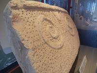 Das Spiralmotiv findet sich an vielen megalithischen Tempeln auf Malta.