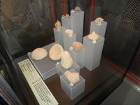 Verschiedene kleine Fundstücke aus der Hagar Qim.