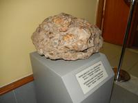 Eine Brekzie mit verschiedenen Flusspferdknochen im Inneren. Dieses Exemplar ist gute 150.000 Jahre alt.