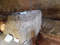 Verschiedene Fossilien und Knochen wurden in den unterschiedlichen Erdschichten entdeckt.