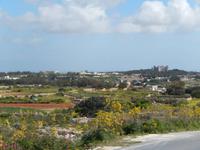 Wie man sieht, sind die Buskett Gardens für unsere Begriffe immer noch ein eher kleines Wäldchen.