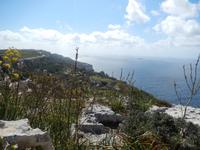 Von den Dingli-Klippen genießt man eine herrliche Aussicht auf das Meer.