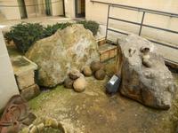 Über solche Kalksteinkugeln wurden die riesigen Felsbrocken damals wohl gerollt.