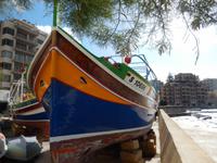 Wir konnten auch einige Luzzi ganz aus der Nähe betrachten.