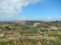 Die maltesische Landschaft zwischen Mellieha Bay und Anchor Bay mit den typischen Trockenmauern.