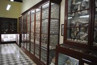  Ausstellung neben der Ghar Dalam Höhle