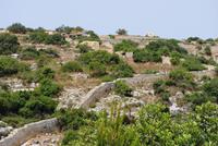 maltesische Landschaft bei Birzebugga