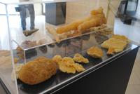 Limestone Heritage Museum