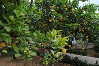 Limestone Heritage Museum