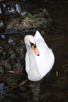 Limestone Heritage Museum