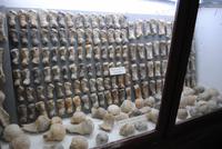 Museum der Höhle von Ghar Dalam