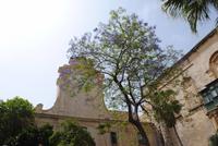 Garten des Großmeisterpalastes