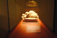 Archäologisches Museum in Valletta