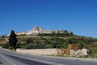 Blick auf Mdina